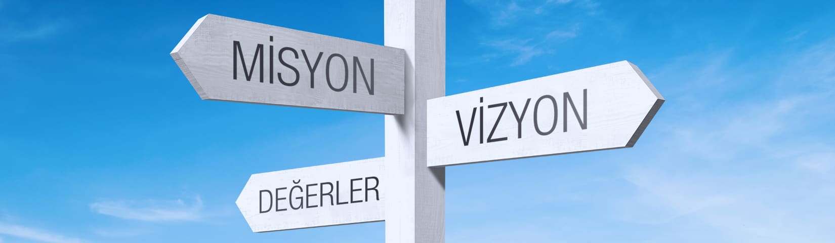 VİZYON